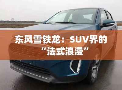 东风雪铁龙:SUV界的“法式浪漫”