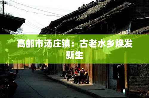 高邮市汤庄镇:古老水乡焕发新生