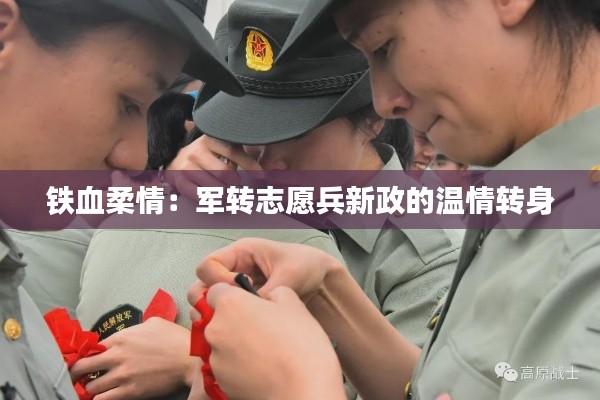 铁血柔情:军转志愿兵新政的温情转身