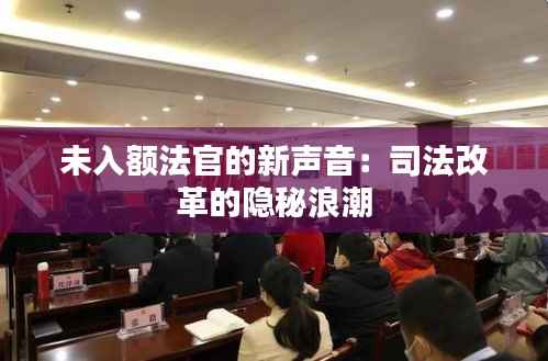 未入额法官的新声音:司法改革的隐秘浪潮