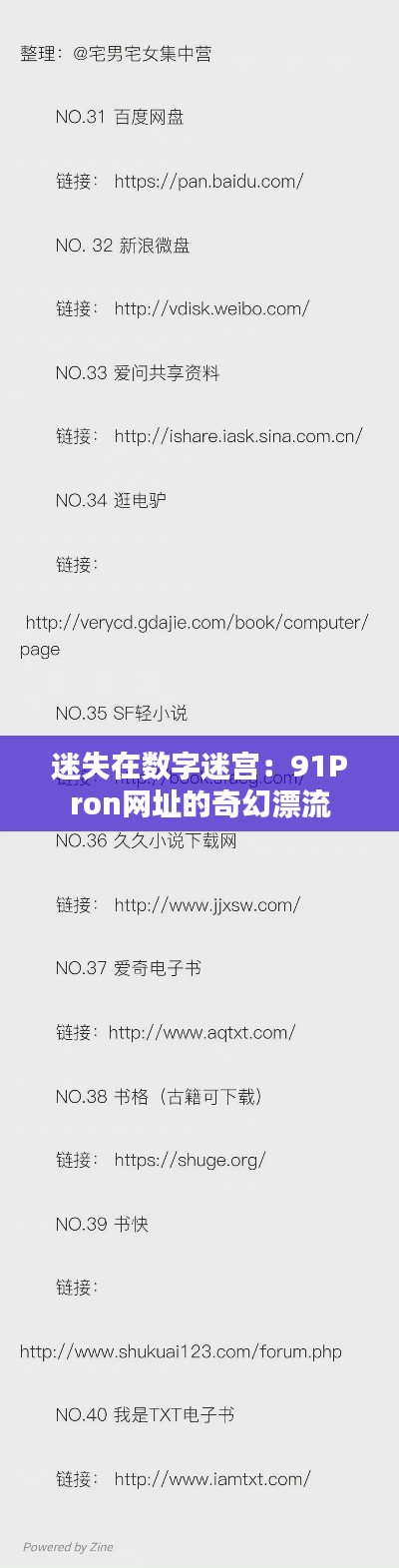 迷失在数字迷宫:91Pron网址的奇幻漂流