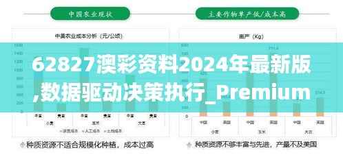 62827澳彩资料2024年最新版,数据驱动决策执行_Premium9.737