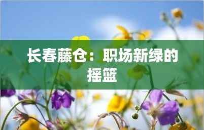 长春藤仓：职场新绿的摇篮