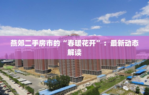 以卵就石 第5页