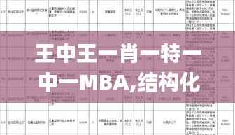 王中王一肖一特一中一MBA,结构化计划评估_M版4.363