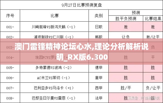 澳门雷锋精神论坛心水,理论分析解析说明_RX版6.300