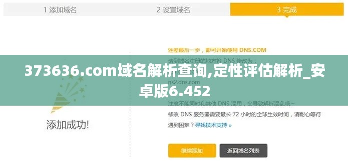 373636.com域名解析查询,定性评估解析_安卓版6.452