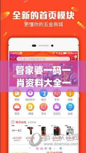 管家婆一码一肖资料大全一语中特,多元方案执行策略_超值版9.474