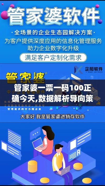 管家婆一票一码100正确今天,数据解析导向策略_桌面款12.182