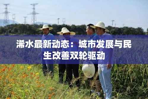 浠水最新动态：城市发展与民生改善双轮驱动