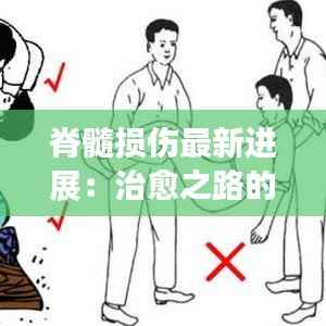 脊髓损伤最新进展：治愈之路的曙光