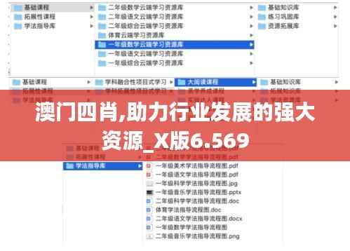 澳门四肖,助力行业发展的强大资源_X版6.569