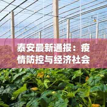 泰安最新通报：疫情防控与经济社会发展双线并行