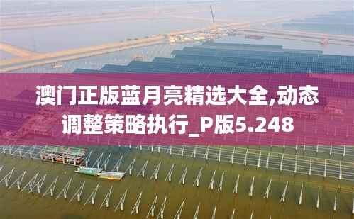 澳门正版蓝月亮精选大全,动态调整策略执行_P版5.248