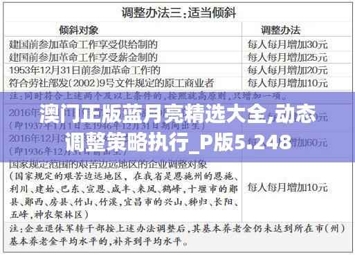 澳门正版蓝月亮精选大全,动态调整策略执行_P版5.248