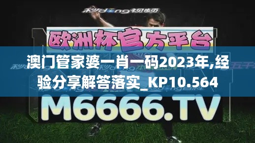 澳门管家婆一肖一码2023年,经验分享解答落实_KP10.564