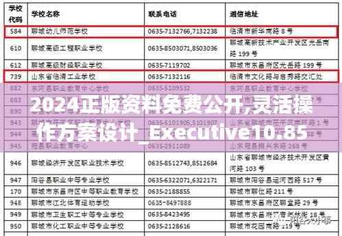 2024正版资料免费公开,灵活操作方案设计_Executive10.851