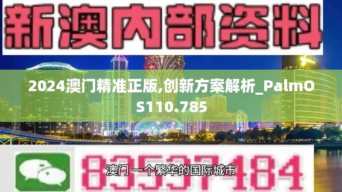 2024澳门精准正版,创新方案解析_PalmOS110.785