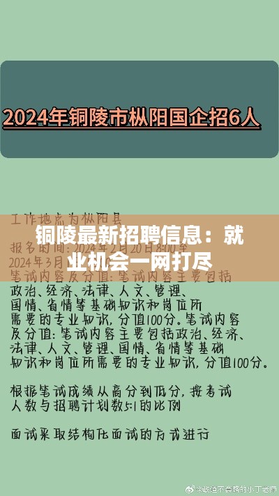 铜陵最新招聘信息:就业机会一网打尽