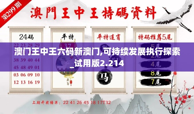 澳门王中王六码新澳门,可持续发展执行探索_试用版2.214