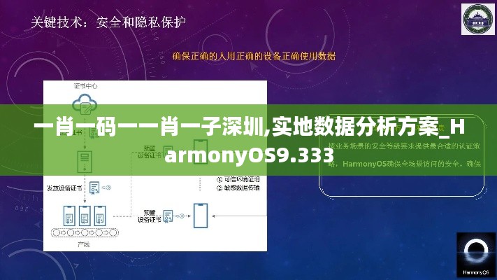 一肖一码一一肖一子深圳,实地数据分析方案_HarmonyOS9.333