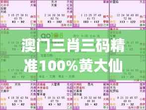 澳门三肖三码精准100%黄大仙,适用解析方案_特别款7.821