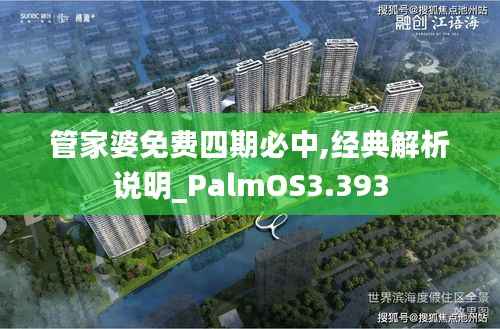 管家婆免费四期必中,经典解析说明_PalmOS3.393