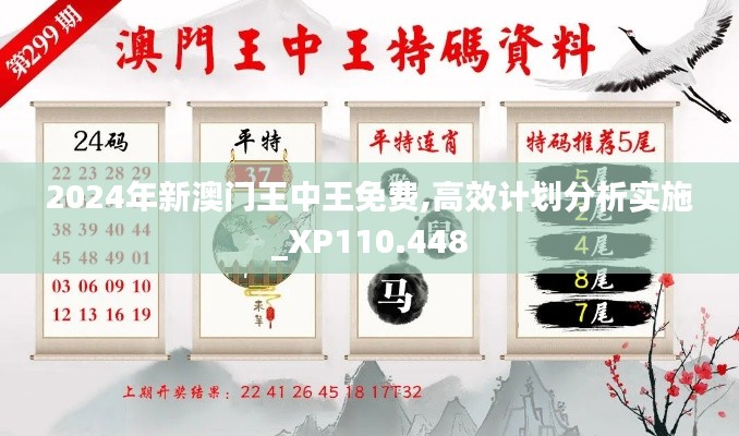 2024年新澳门王中王免费,高效计划分析实施_XP110.448