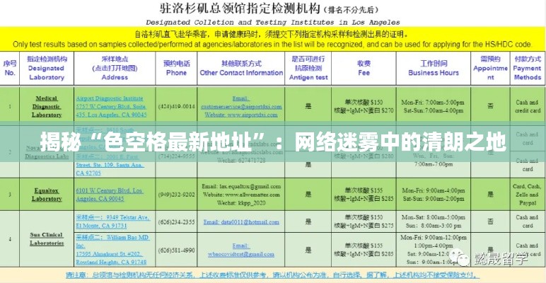 揭秘“色空格最新地址”:网络迷雾中的清朗之地