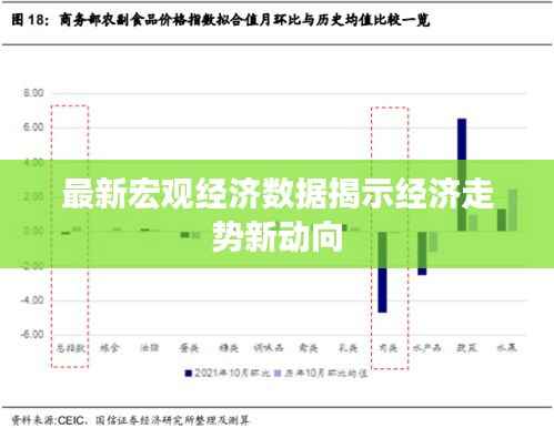 最新宏观经济数据揭示经济走势新动向