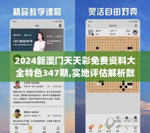 2024新澳门天天彩免费资料大全特色347期,实地评估解析数据_界面版8.250