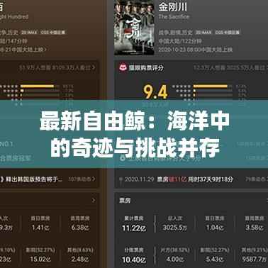 最新自由鲸:海洋中的奇迹与挑战并存