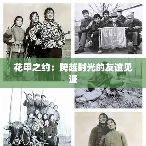 花甲之约:跨越时光的友谊见证