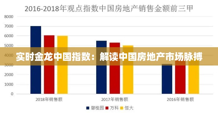 实时金龙中国指数：解读中国房地产市场脉搏