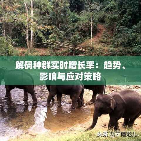 解码种群实时增长率:趋势、影响与应对策略