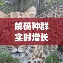 解码种群实时增长率:趋势、影响与应对策略