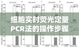 细胞实时荧光定量PCR法的操作步骤详解