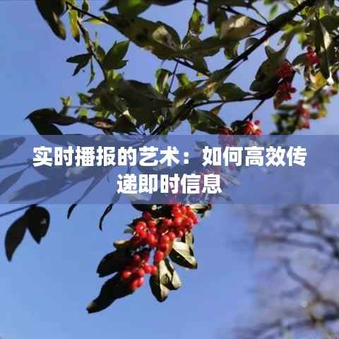 实时播报的艺术:如何高效传递即时信息