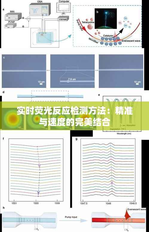 实时荧光反应检测方法:精准与速度的完美结合
