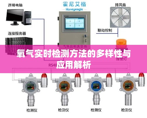 氧气实时检测方法的多样性与应用解析