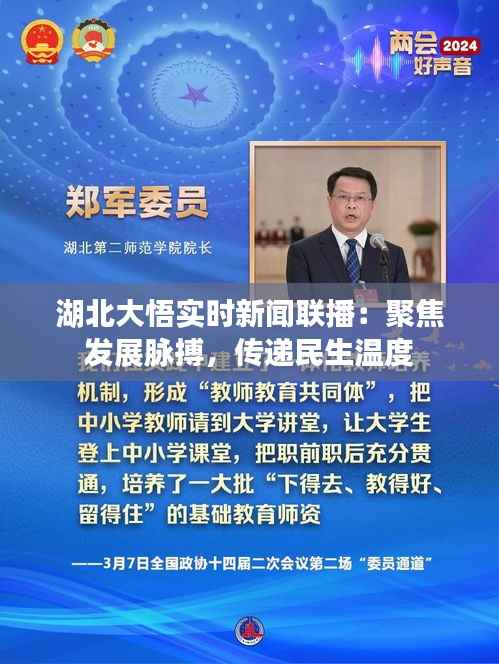 湖北大悟实时新闻联播：聚焦发展脉搏，传递民生温度