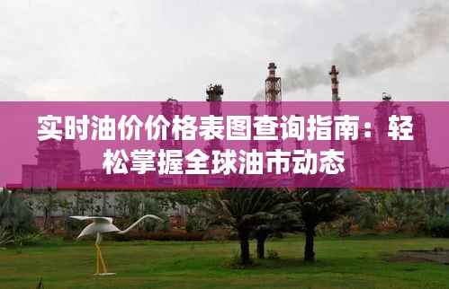 实时油价价格表图查询指南:轻松掌握全球油市动态
