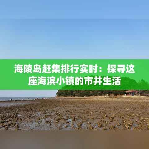 海陵岛赶集排行实时：探寻这座海滨小镇的市井生活