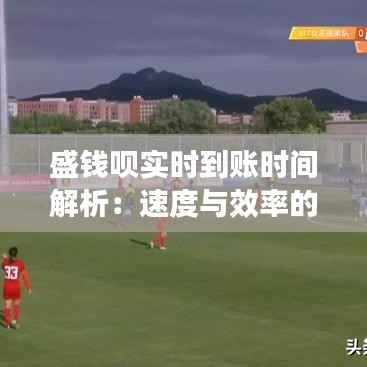 盛钱呗实时到账时间解析:速度与效率的完美结合