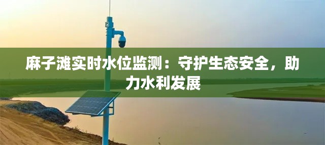 麻子滩实时水位监测：守护生态安全，助力水利发展