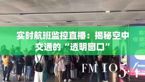 实时航班监控直播：揭秘空中交通的“透明窗口”