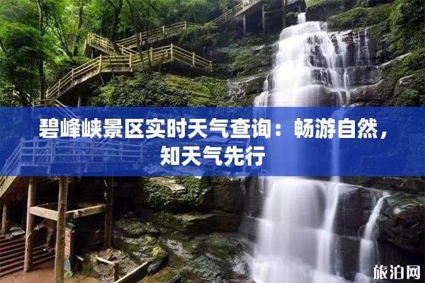 碧峰峡景区实时天气查询：畅游自然，知天气先行
