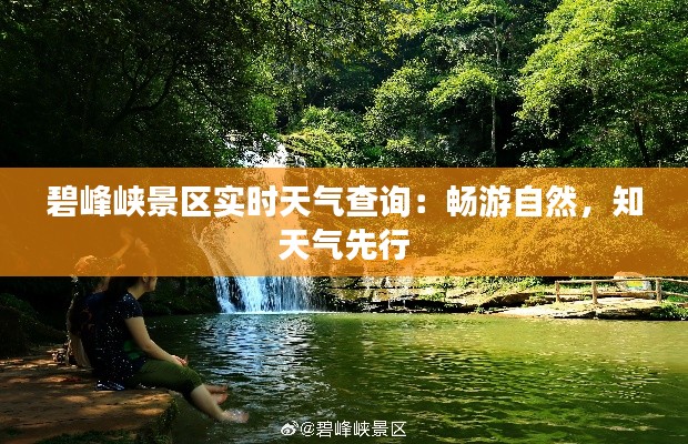 碧峰峡景区实时天气查询:畅游自然,知天气先行