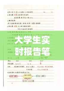 大学生实时报告笔记范文:高效学习与信息整理的艺术