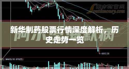 新华制药股票行情深度解析,历史走势一览